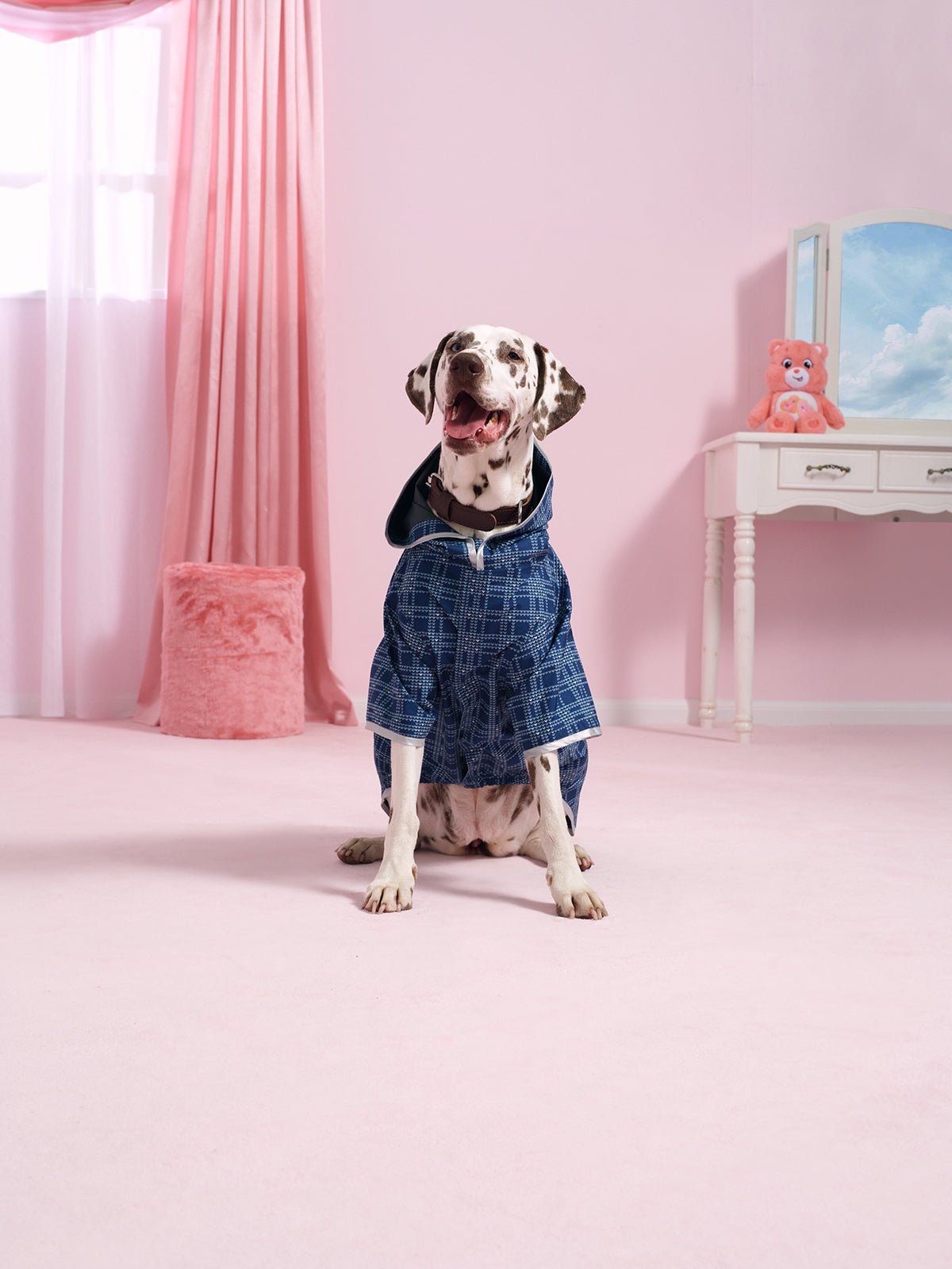 Flotte x Bisounours Care Bears imperméable boulogne pour chien 